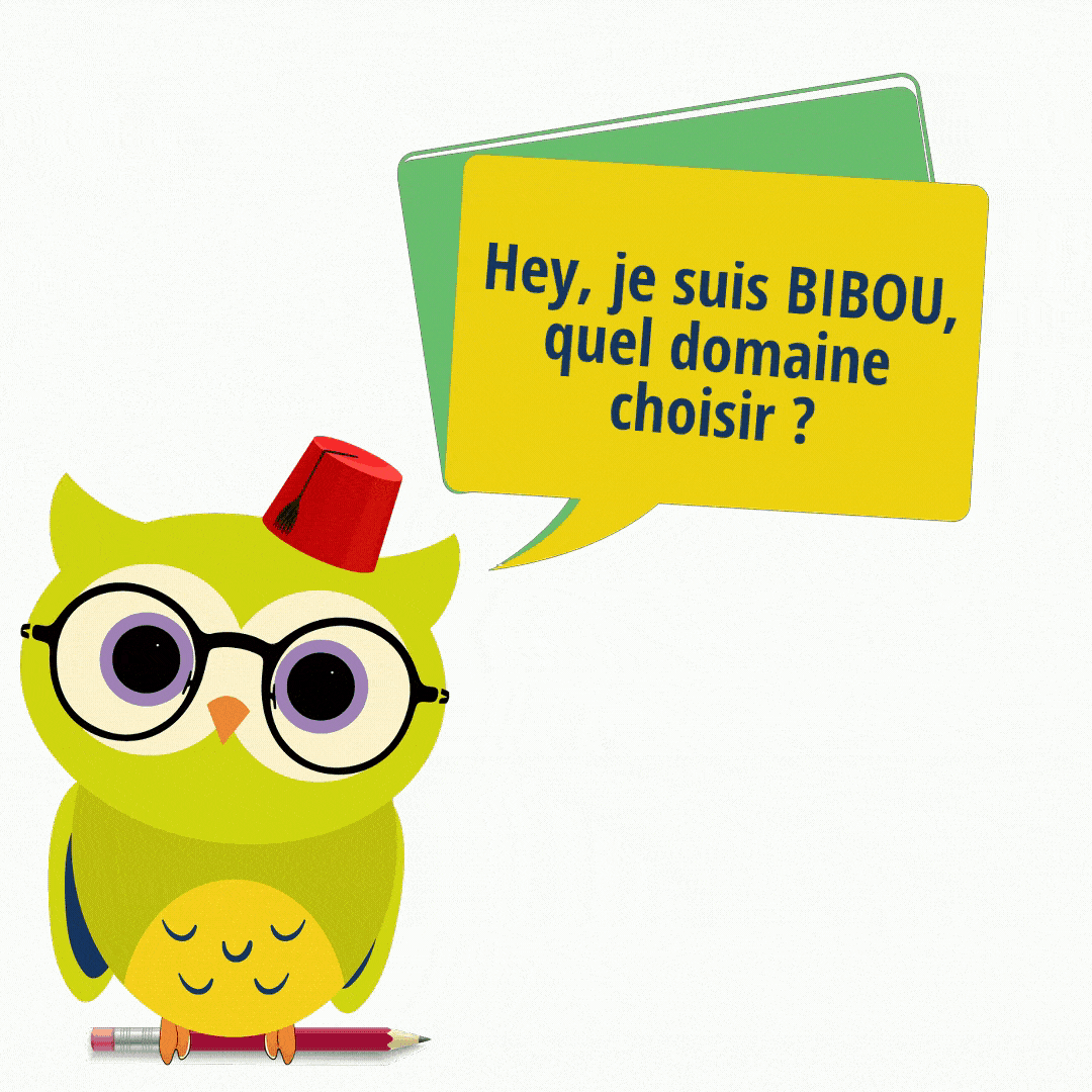 Avatar Bibou uir tawjihi