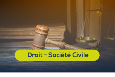 Droit et société civile