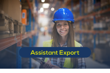 Assistant export