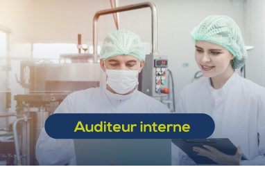auditeur interne