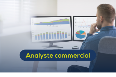 analyste-commercial