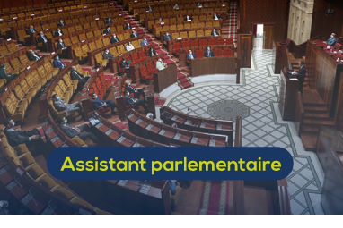 assistant parlementaire
